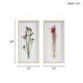 Dried Flower 2 Piece Shadow Box Wall Decor Set Multi Mdf