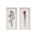 Dried Flower 2 Piece Shadow Box Wall Decor Set Multi Mdf