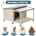 Outdoor Fir Wood Dog House With An Open Roof Ideal For Small To Medium Dogs. Dog House With Large Terrace With Clear Roof.Weatherproof Asphalt Roof And Treated Wood. Cream Solid Wood