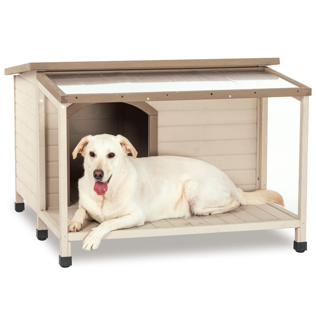 Outdoor Fir Wood Dog House With An Open Roof Ideal For Medium To Large Dogs. Dog House With Large Terrace With Clear Roof.Weatherproof Asphalt Roof And Treated Wood. Cream Solid Wood