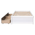 Twin Bed With 2 Drawers, Solid Wood, No Box Spring Needed , Old Sku:W50422209 Twin White Pine