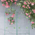 2 Pack Metal Garden Trellis 71