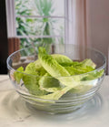 Swirl Acrylic Serving Bowls, Unbreakable Large Plastic Bowls, Soup Bowls, Salad Bowls, Cereal Bowl For Snacks, Bpa Free Clear Acrylic