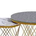 Modern Minimalist Nesting Coffee Table For Living Room Wooden Top And Metal Legs White Gray Metal & Wood