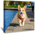 Customize Canvas Prints With Your Photo Canvas Wall Art Personalized Canvas Picture, Customized To Any Style, Us Factory ,Gifts For Family, Wedding, Friends, Home Decoration,Pet Animal Wrapped Canvas Colorful Oversized 41In Painting Prints And Posters