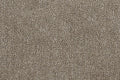 Modular Living Room Furniture Ottoman Camel Chenille Fabric 1Pc Cushion Ottoman Couch Exposed Wooden Base Camel Chenille Primary Living Space Contemporary,Modern Rectangle Chenille