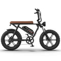 Aostirmotor Pattern Electric Bicycle 750W Motor 20