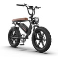 Aostirmotor Pattern Electric Bicycle 750W Motor 20