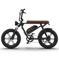 Aostirmotor Pattern Electric Bicycle 750W Motor 20