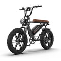 Aostirmotor Pattern Electric Bicycle 750W Motor 20