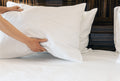 Luxuriously Soft 100% Viscose Derived From Bamboo 4 Piece Sheet Setoeko Tex Certified, Full White White Bamboo