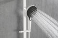 Eco Performance Handheld Shower With 28 Inch Slide Bar And 59 Inch Hose White Stainless Steel