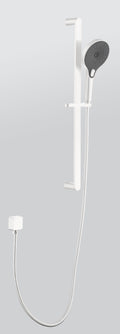 Eco Performance Handheld Shower With 28 Inch Slide Bar And 59 Inch Hose White Stainless Steel