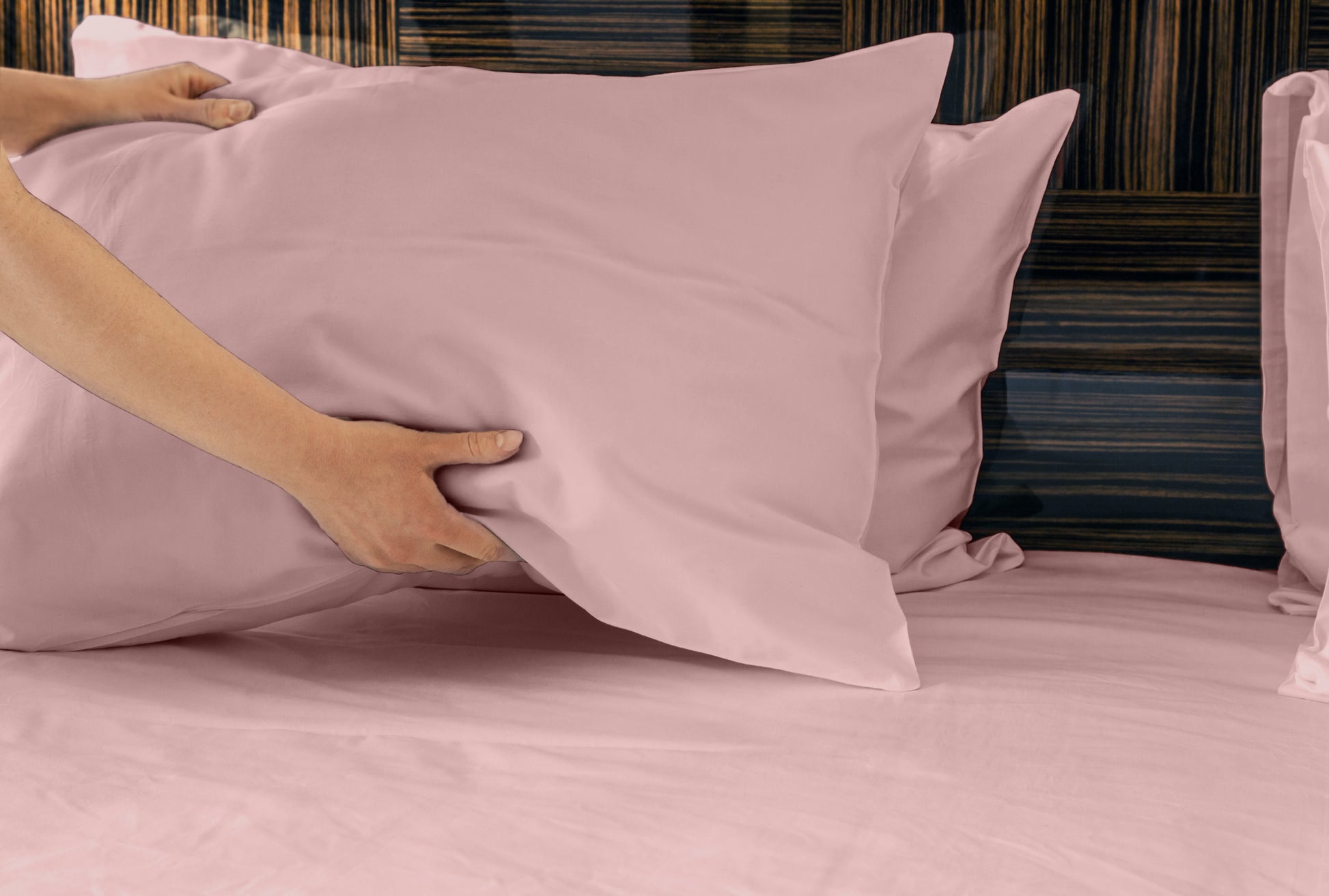 Luxurious Viscose From 100% Bamboo 2 Piece Pillowcase Setoeko Tex Certified, Queen Pale Rose Rose Bamboo