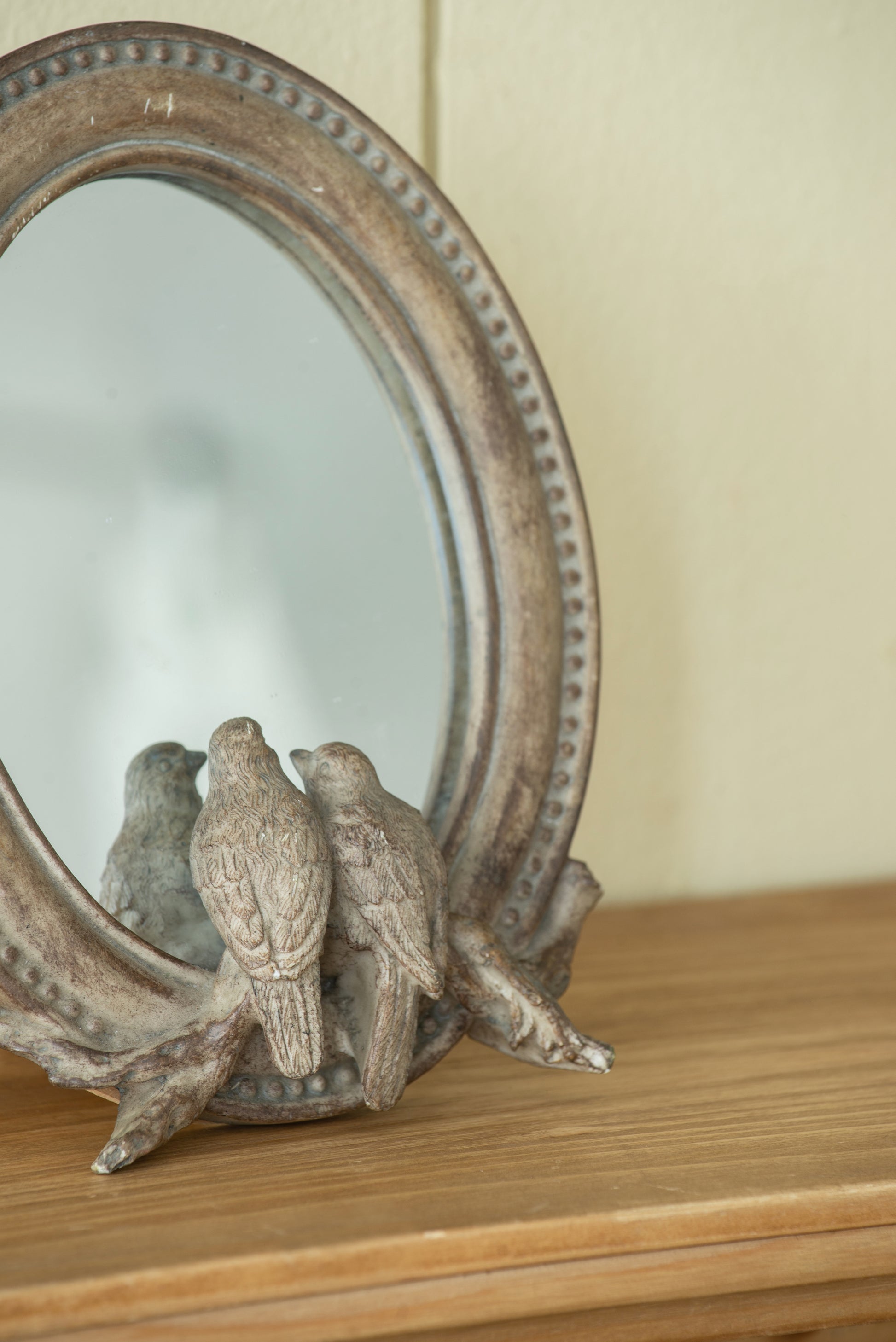 7.5X9.5" Corella Oval Bird Mirror With Resin Frame, Desk Mirror With Stand For Counter Bedroom Bathroom Brown Resin