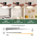 24'' Walnut Small Ceiling Fan With Lights And Remote Led 18W Modern Flush Mount Ceiling Fan Adjustable Color,Dc Quiet Motor Low Profile Ceiling Fan For Bedroom Kitchen Dining Patio,Fcc Walnut Black Abs Steel Q235