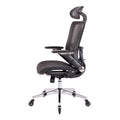 Black Ergonomic Mesh Office Chair, High Back Adjustable Headrest With Flip Up Arms, Tilt And Lock Function, Lumbar Support And Blade Wheels, Kd Chrome Metal Legs Black Office American Design Office Chairs Foam Plastic