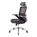 Black Ergonomic Mesh Office Chair, High Back Adjustable Headrest With Flip Up Arms, Tilt And Lock Function, Lumbar Support And Blade Wheels, Kd Chrome Metal Legs Black Office American Design Office Chairs Foam Plastic