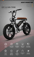 Aostirmotor Pattern Electric Bicycle 750W Motor 20