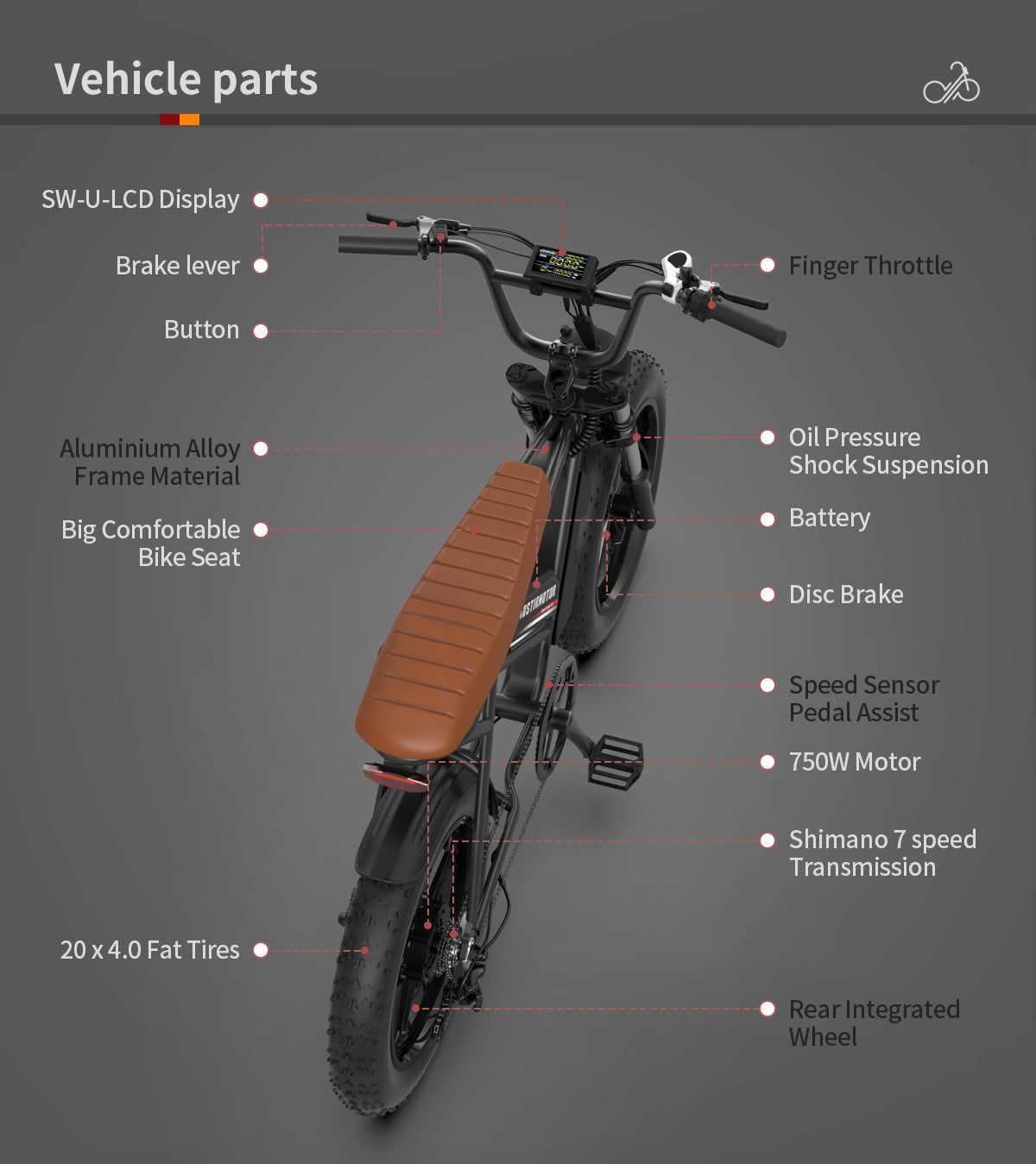 Aostirmotor Pattern Electric Bicycle 750W Motor 20" Fat Tire With 48V 13Ah Li Battery Black Aluminium