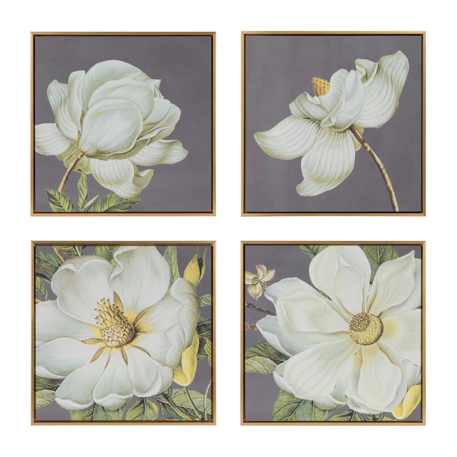 Set Of 4 White And Gold Botanical Wall Art Prints, Home Decor For Living Room Dining Room Bedroom Hallway, 20 X 20 Gray Microfiber