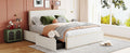 Queen Size Upholstered Platform Bed With 4 Drawers And Golden Edge On The Headboard & Footboard, White Queen White Upholstered