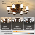 Ceiling Fan 21.7