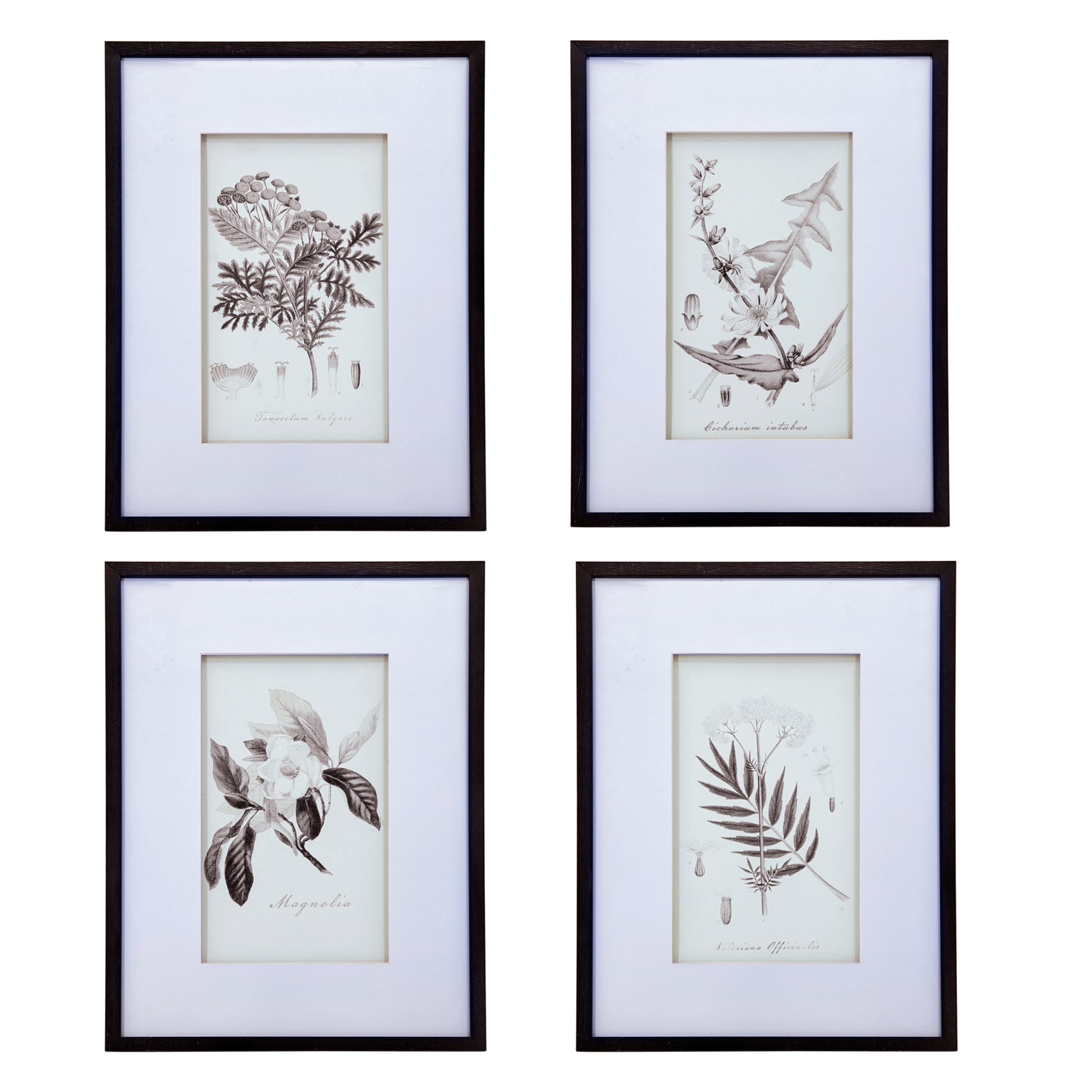 Set Of 4 Botanical Wall Art Prints, Home Decor For Living Room, Dining Room, Bedroom, Hallway, 20" X 28" White Black Plastic