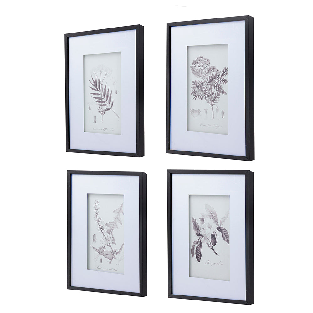 Set Of 4 Botanical Wall Art Prints, Home Decor For Living Room, Dining Room, Bedroom, Hallway, 20" X 28" White Black Plastic