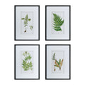 Set Of 4 Botanical Black And White Fern Wall Artwall Decor For Living Room Dining Room Entryway, 20