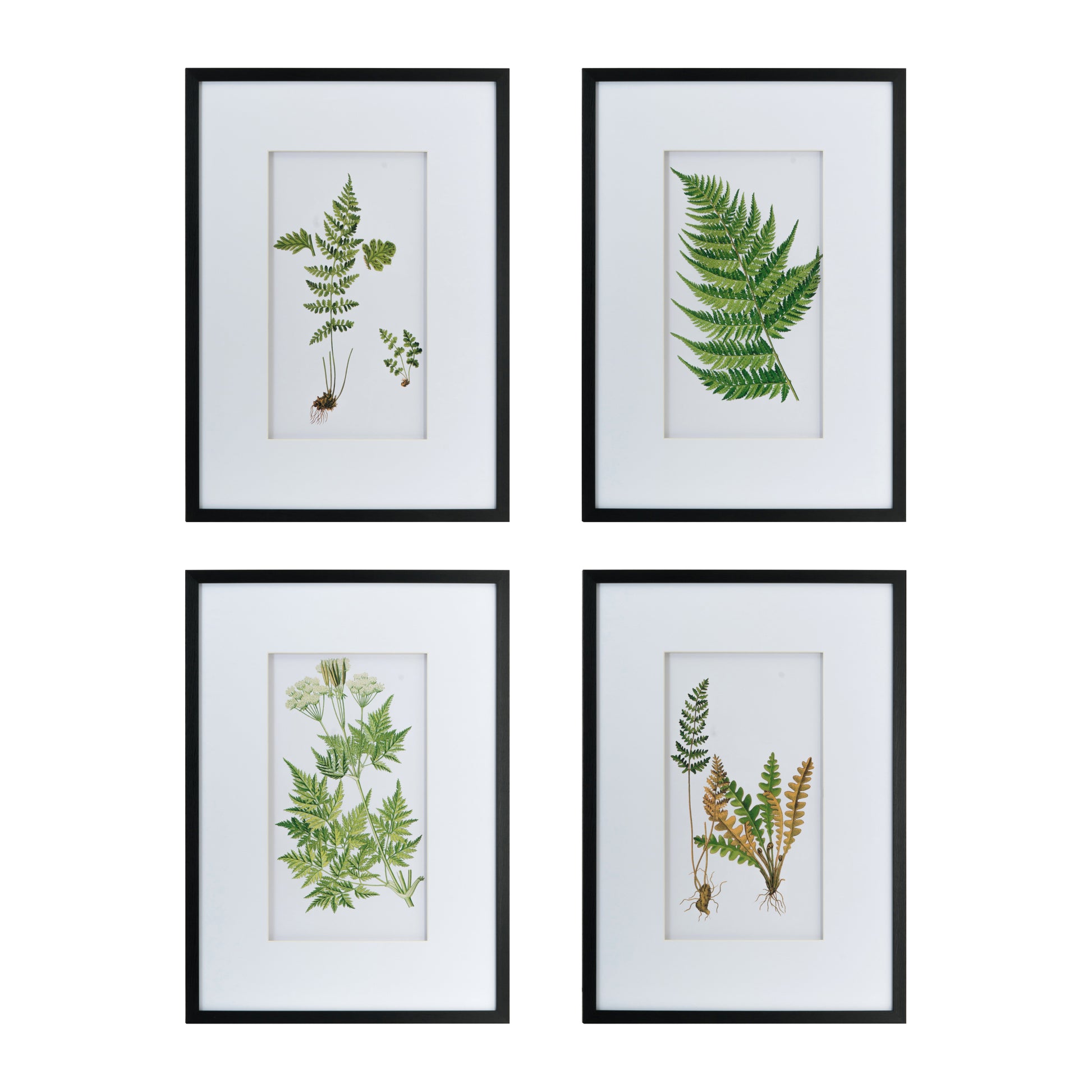 Set Of 4 Botanical Black And White Fern Wall Artwall Decor For Living Room Dining Room Entryway, 20" X 28" White Black Plastic