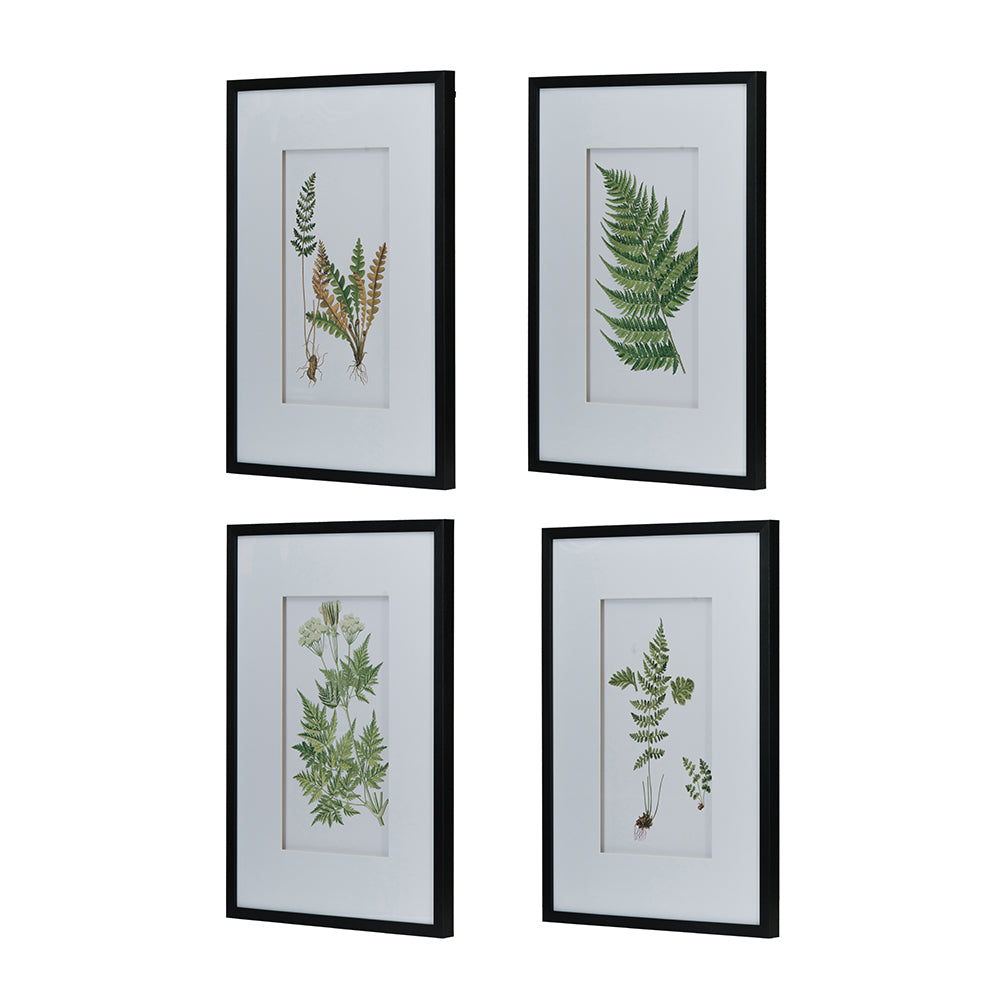 Set Of 4 Botanical Black And White Fern Wall Artwall Decor For Living Room Dining Room Entryway, 20" X 28" White Black Plastic