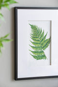 Set Of 4 Botanical Black And White Fern Wall Artwall Decor For Living Room Dining Room Entryway, 20