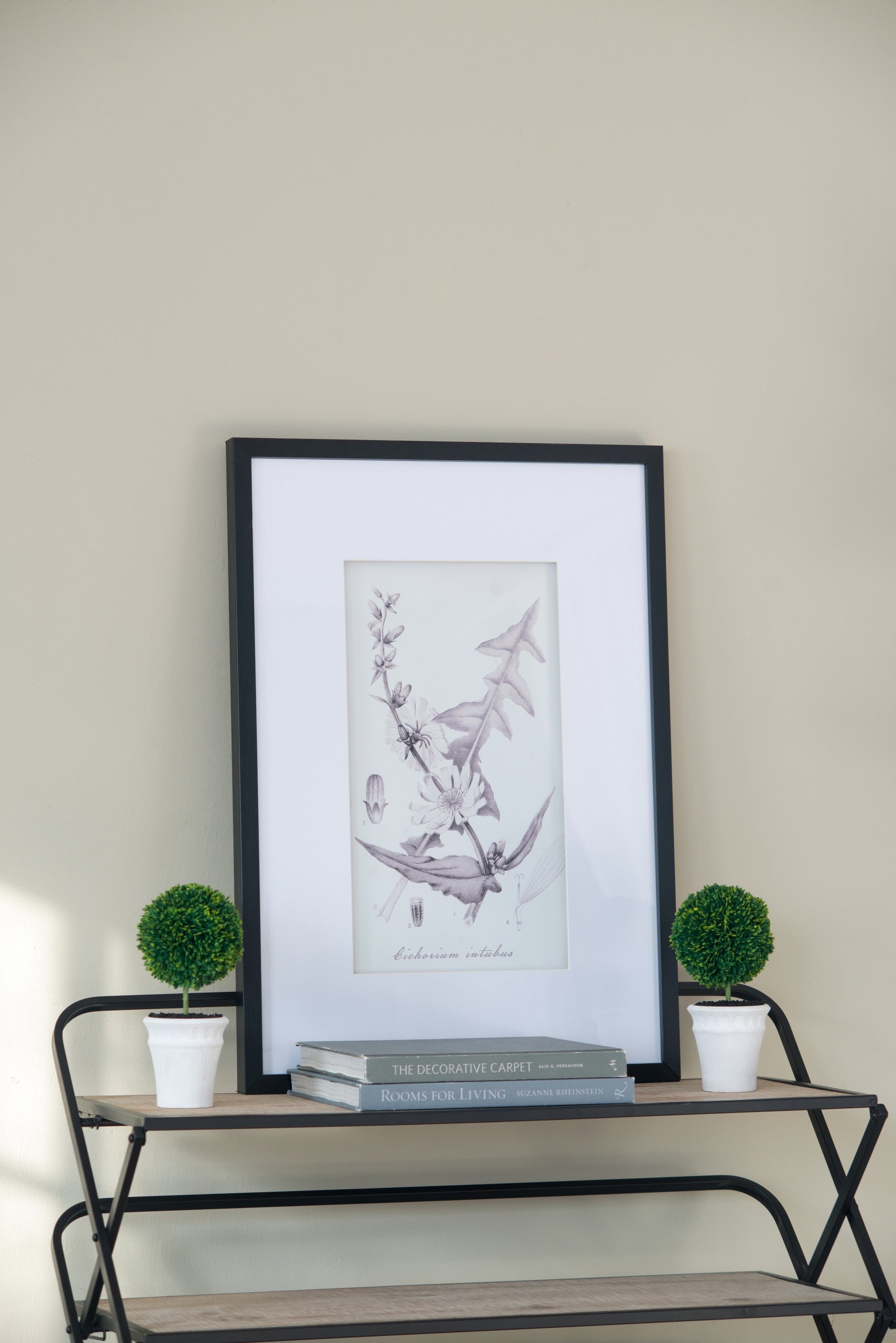 Set Of 4 Botanical Wall Art Prints, Home Decor For Living Room, Dining Room, Bedroom, Hallway, 20" X 28" White Black Plastic