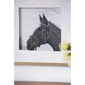 Set Of 2 Wall Art Horse Animal Printing, Wall Decor Accent, 22