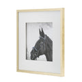 Set Of 2 Wall Art Horse Animal Printing, Wall Decor Accent, 22