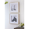 Set Of 2 Wall Art Horse Animal Printing, Wall Decor Accent, 22