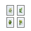 Set Of 4 Botanical Flower Wall Art, Home Decor For Living Room, Dining Room, Bedroom, Hallway, 20