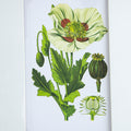 Set Of 4 Botanical Flower Wall Art, Home Decor For Living Room, Dining Room, Bedroom, Hallway, 20