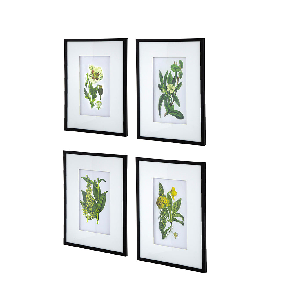 Set Of 4 Botanical Flower Wall Art, Home Decor For Living Room, Dining Room, Bedroom, Hallway, 20" X 28" White Blue Plastic