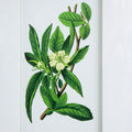 Set Of 4 Botanical Flower Wall Art, Home Decor For Living Room, Dining Room, Bedroom, Hallway, 20
