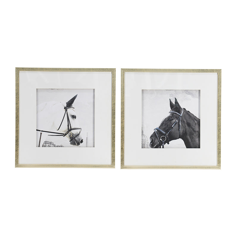 Set Of 2 Wall Art Horse Animal Printing, Wall Decor Accent, 22" X 22" Golden White Plastic