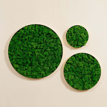 Round Framed Moss Wall Decor, Only The Small Pc Green Iron