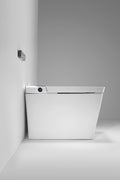 Multifunctional Flat Square Smart Toilet With Automatic Flush With Remote Control Foot Sensor Night Light Glass Display White White Ceramic