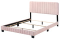 Lodi G0406 Kb Up King Bedpink Pink Foam Velvet