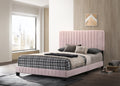 Lodi G0406 Kb Up King Bedpink Pink Foam Velvet