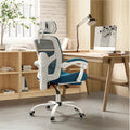Sweetcrispy Mesh High Back Ergonomic Office Chair Lumbar Support Pillow Computer Desk Chair Blue Nylon Mesh