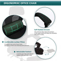Sweetcrispy Mesh High Back Ergonomic Office Chair Lumbar Support Pillow Computer Desk Chair Black Nylon Mesh