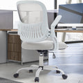 Sweetcrispy Office Mid Back Ergonomic Mesh Computer Desk Larger Seat Executive Height Adjustable Swivel Task Chair With Lumbar Support Gray Nylon Mesh