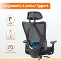Sweetcrispy High Back Ergonomic Office Chair Adjustable Headrest And Waistrest Mesh Desk Chair Black Nylon Mesh